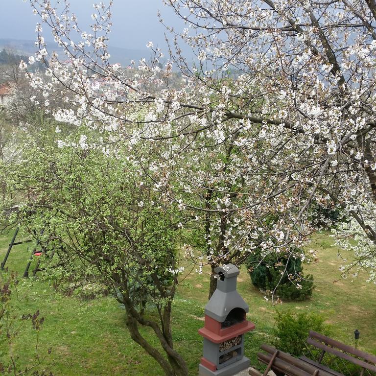 Apartment Hills Sarajevo